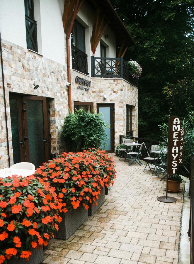 Bed and Breakfast Amethyst Совата Экстерьер фото